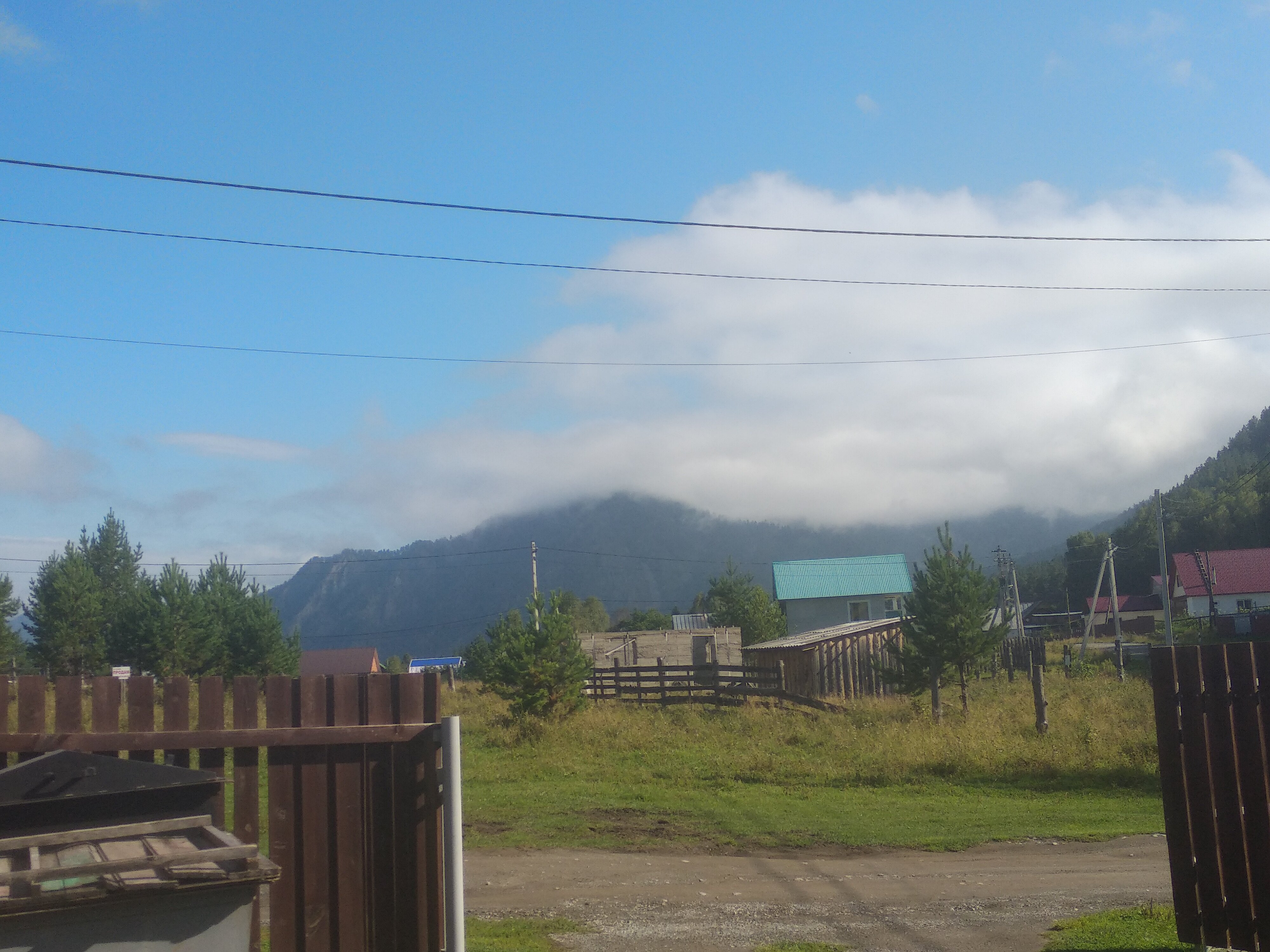 Фото Радость