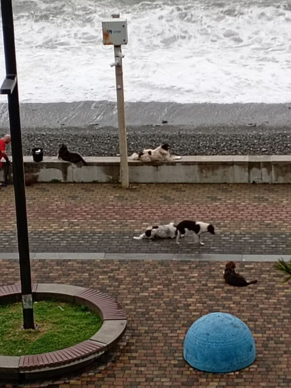 Фото Kobuleti Pearl of Sea Hotel & SPA