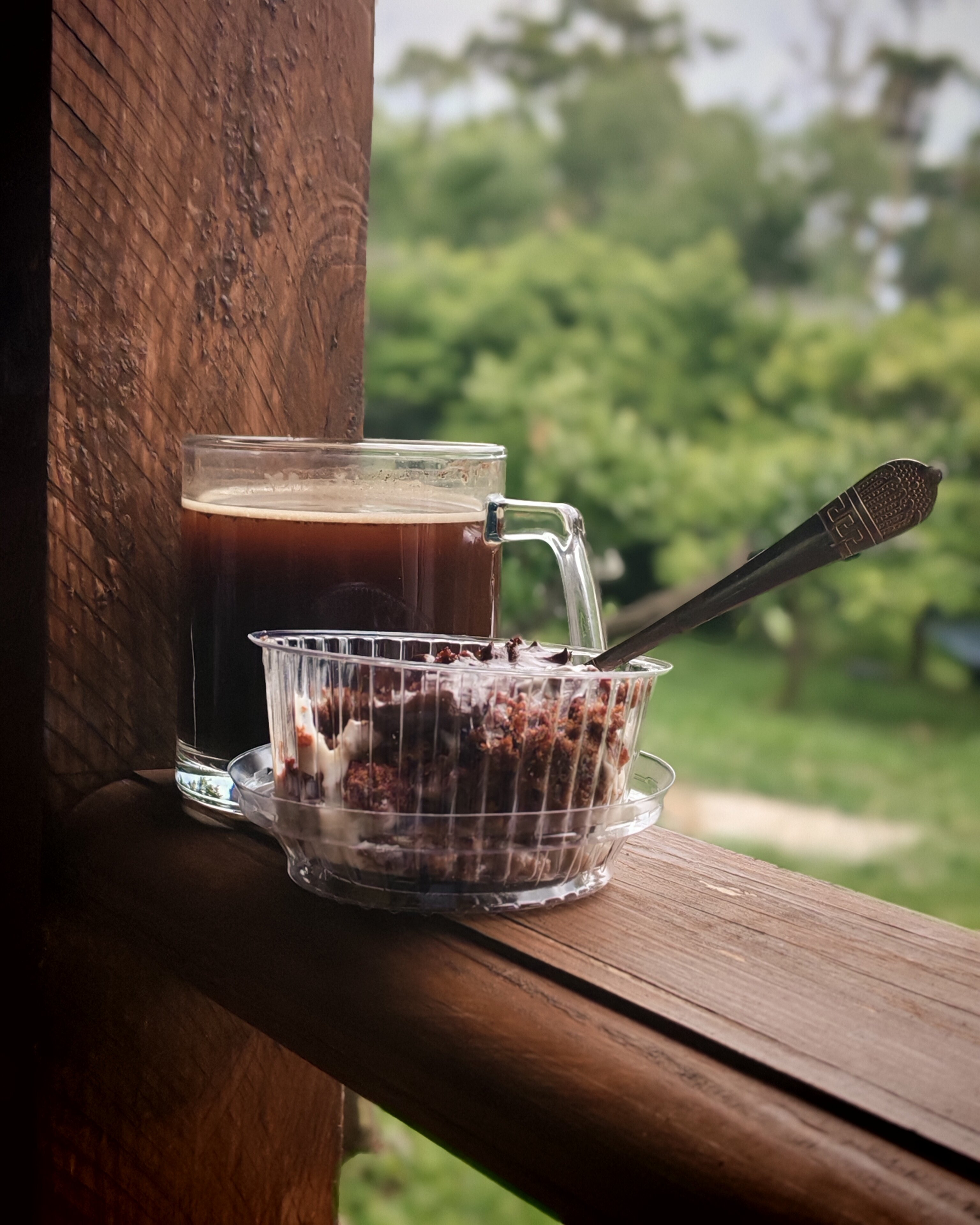 Фото Феникс