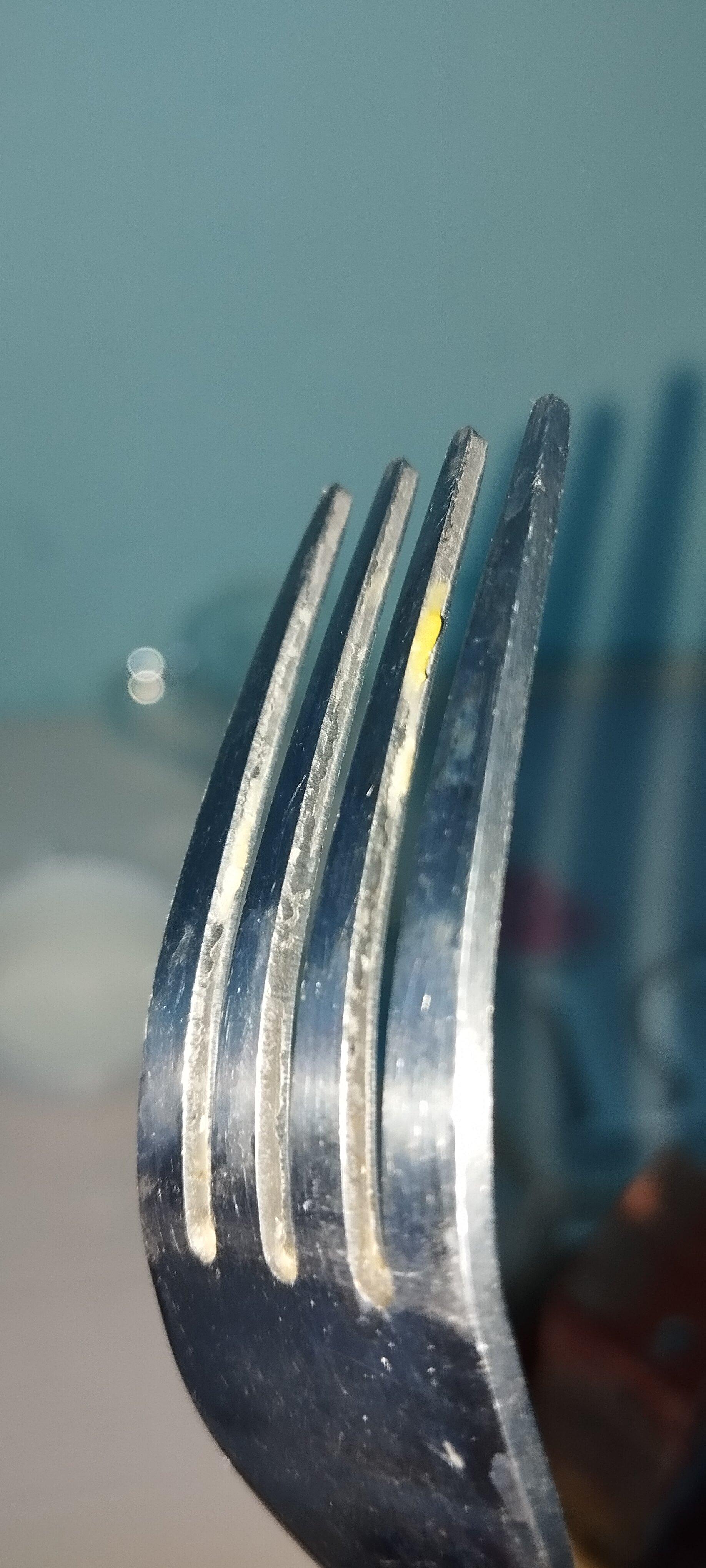 Фото Караван