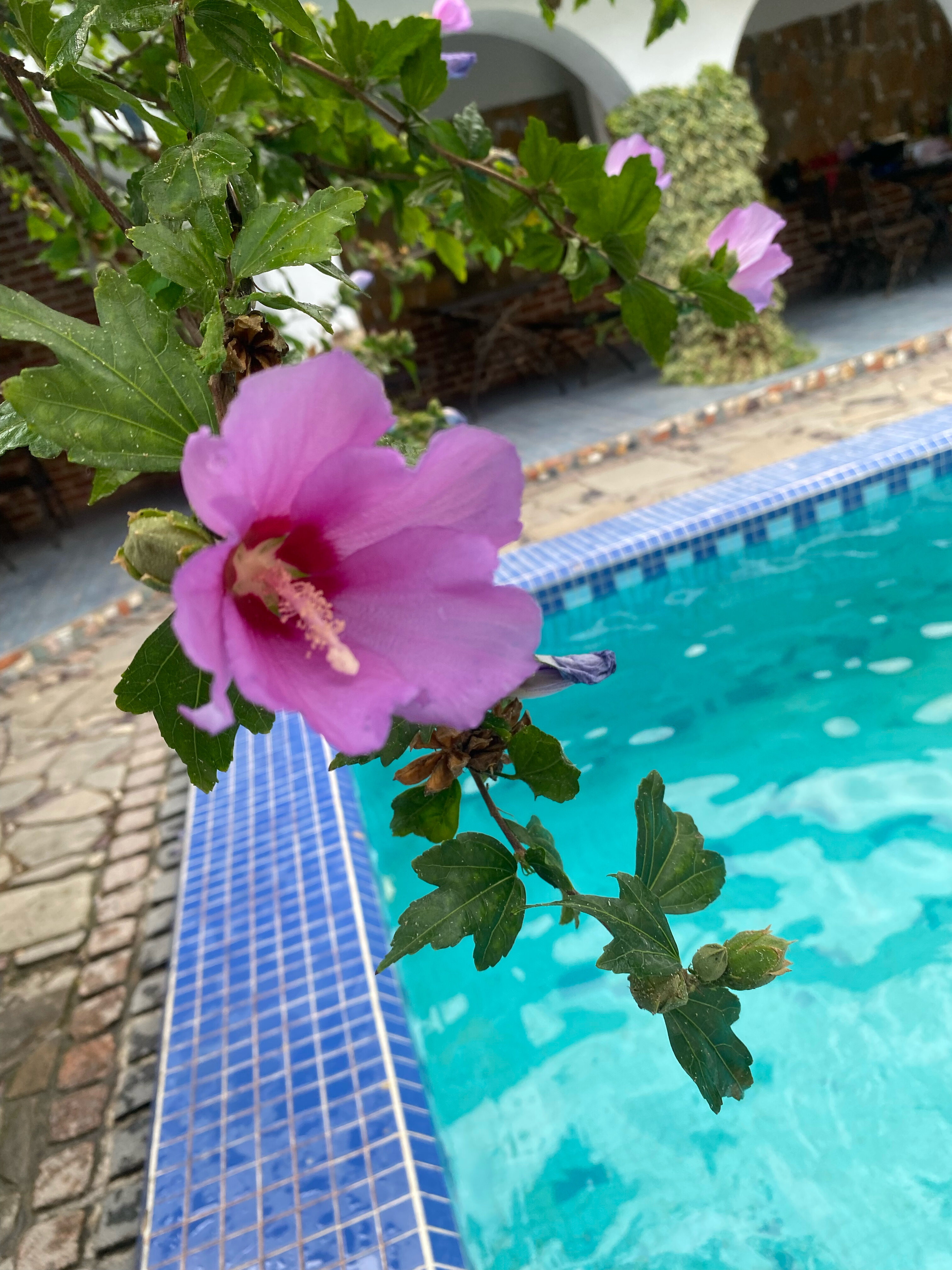 Фото Испанский дворик