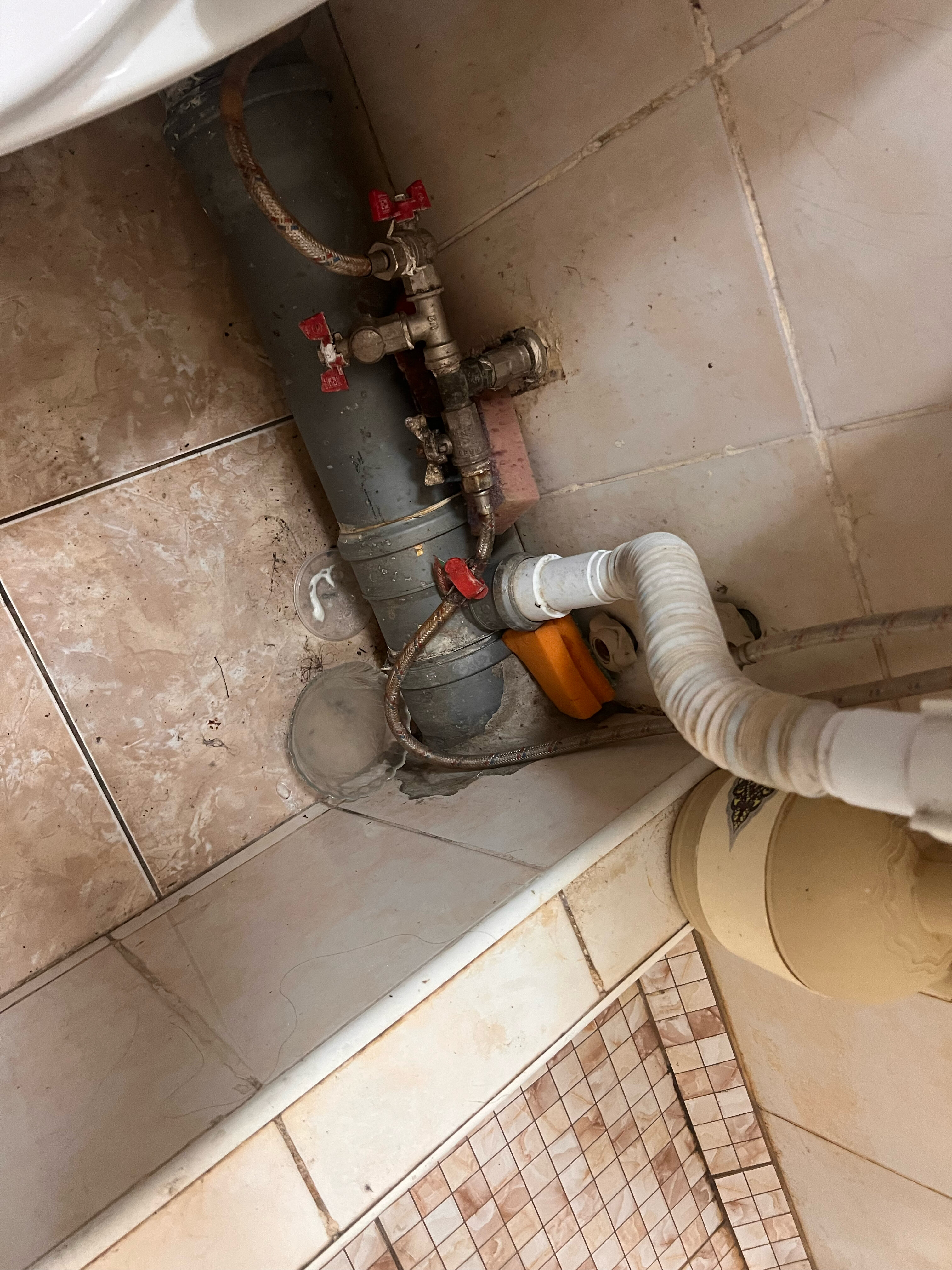 Фото Южные Ночи