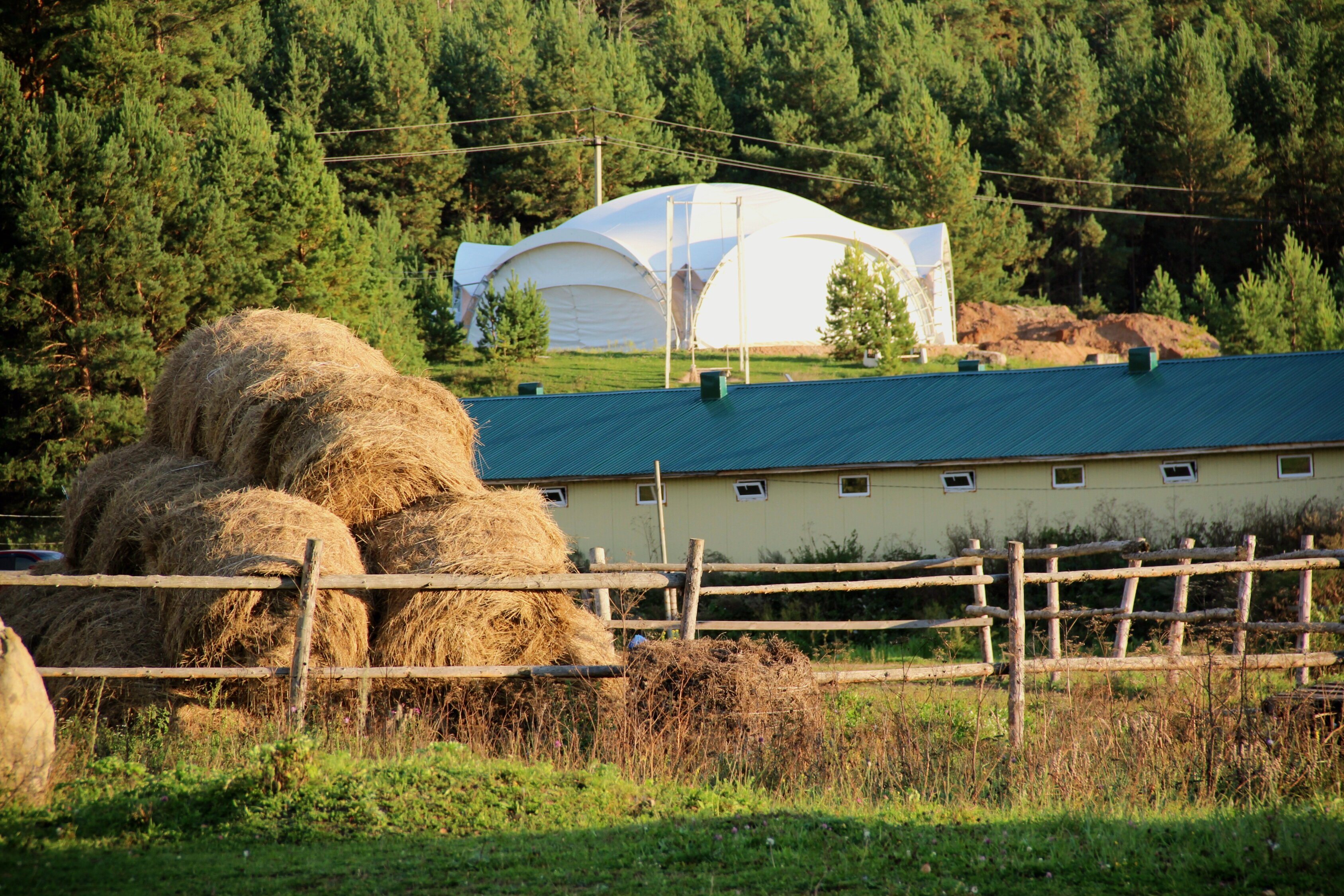 Фото Поместье Конная эстетика