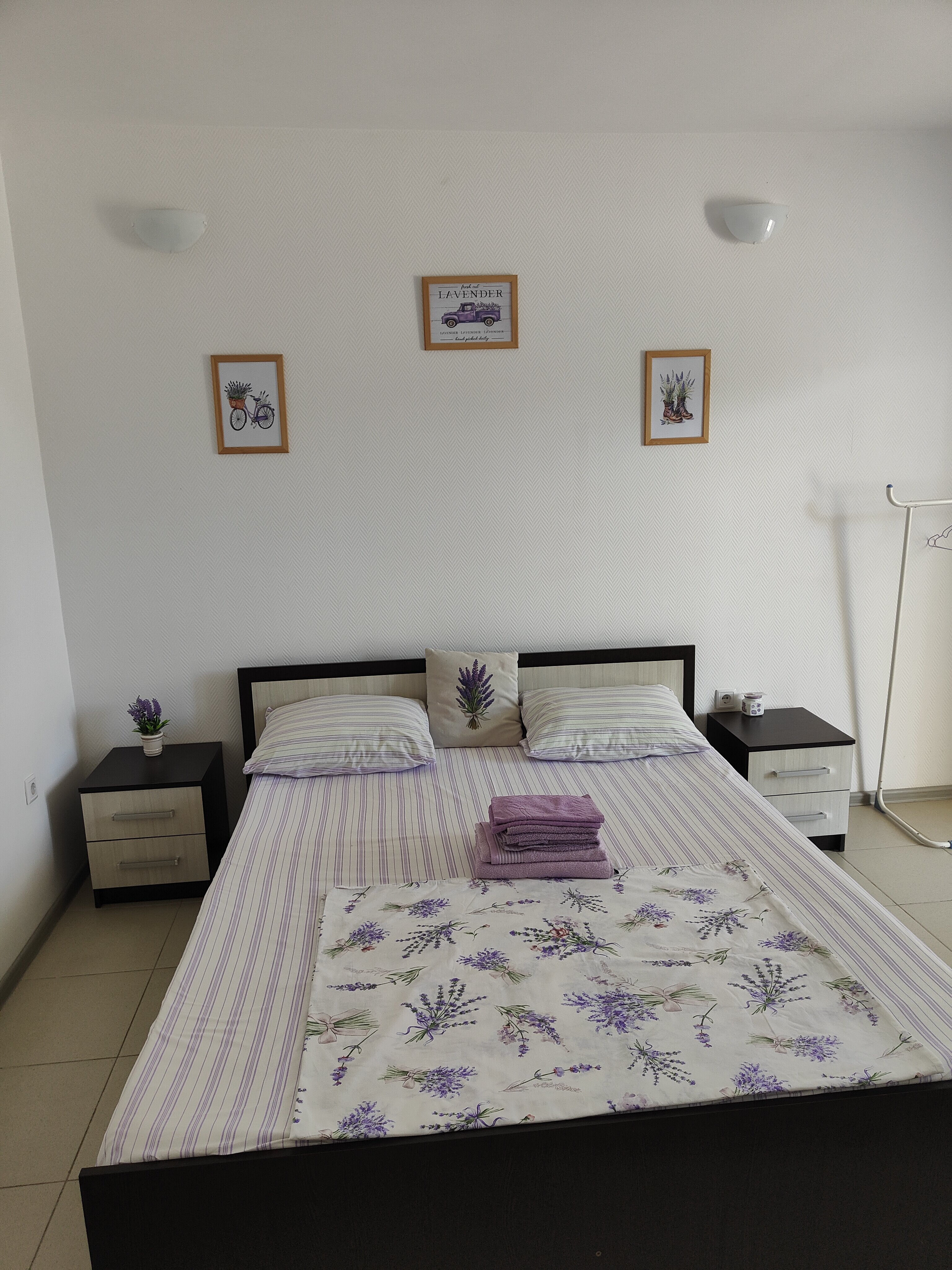 Фото Лаванда