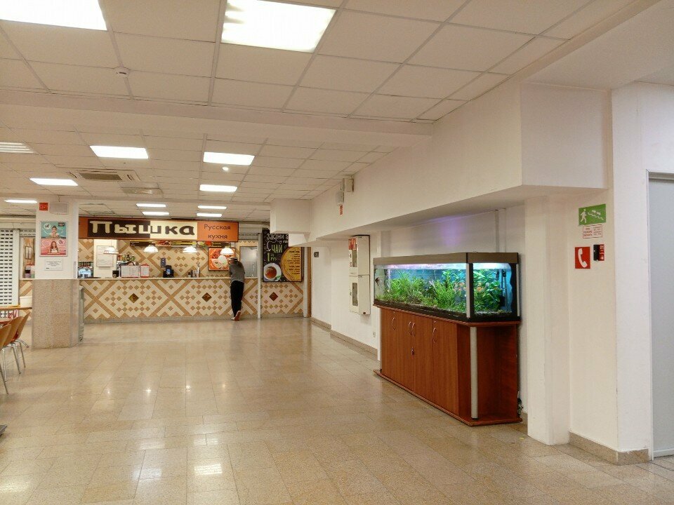 Fast food Пышка, Kaliningrad, photo