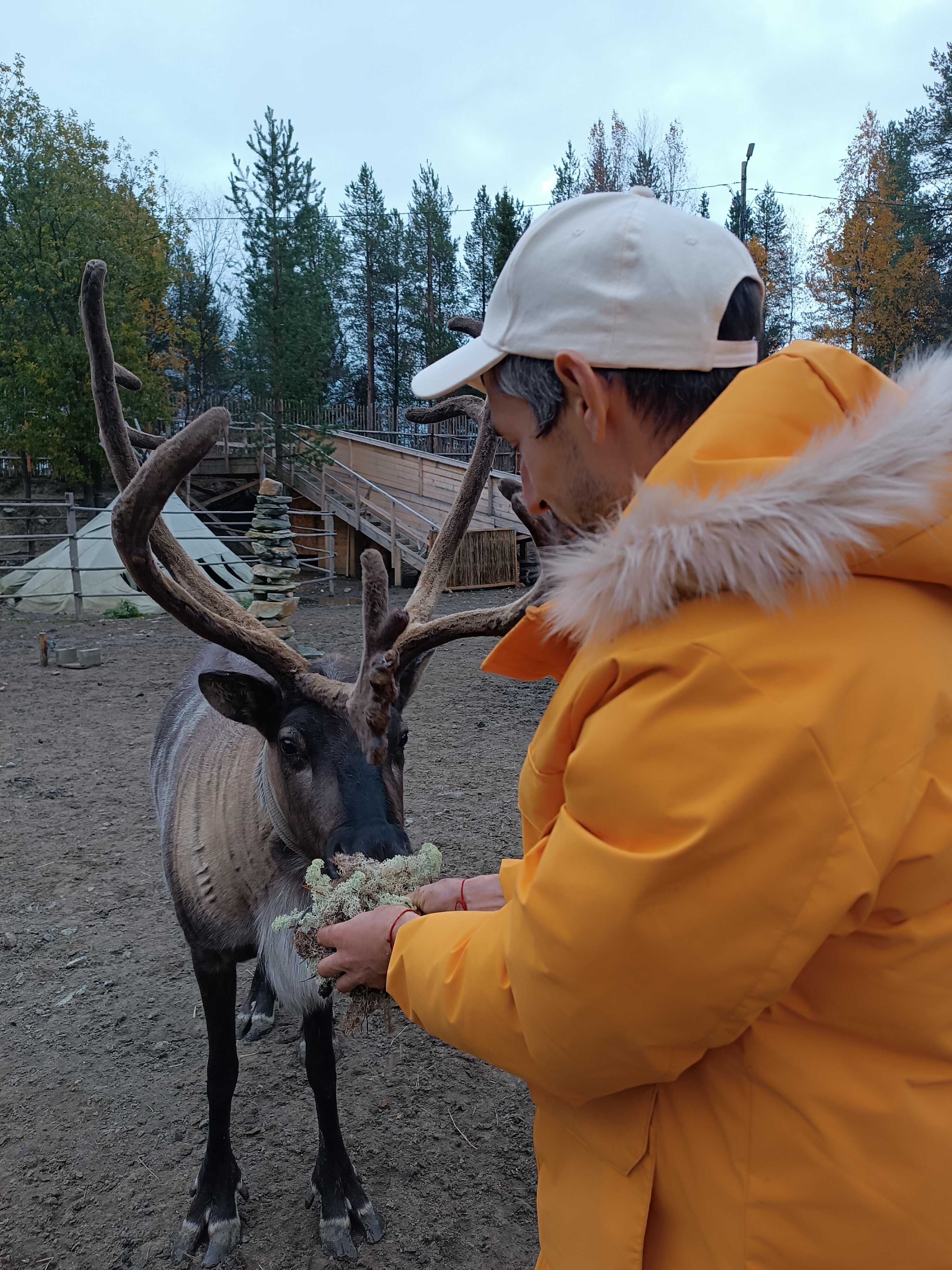 Фото Горная долина