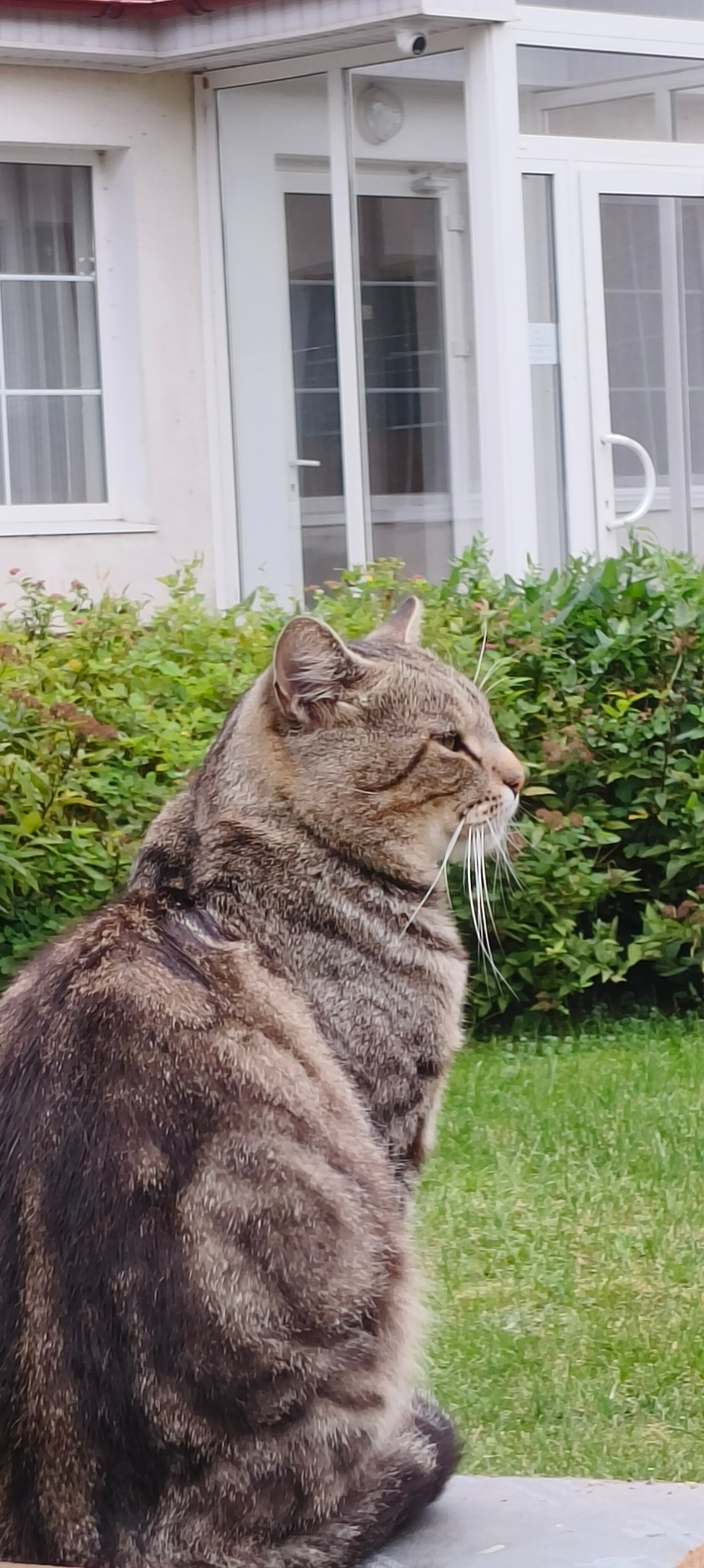 Фото Морское