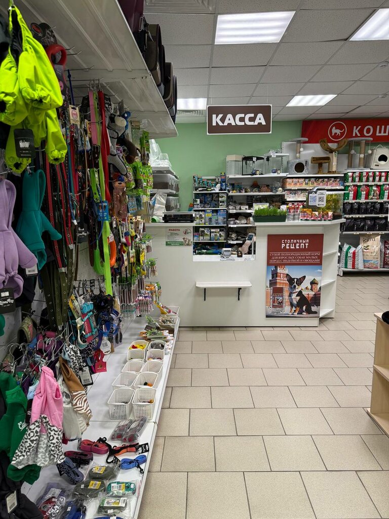 Pet shop Пушистый Друг, Astrahan, photo