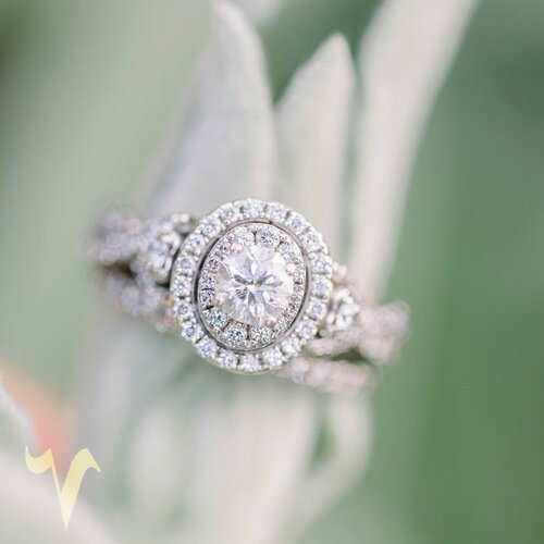 Violla Center Fotoğraf 4