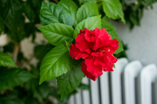 Гостиница Гранат в Магнитогорске