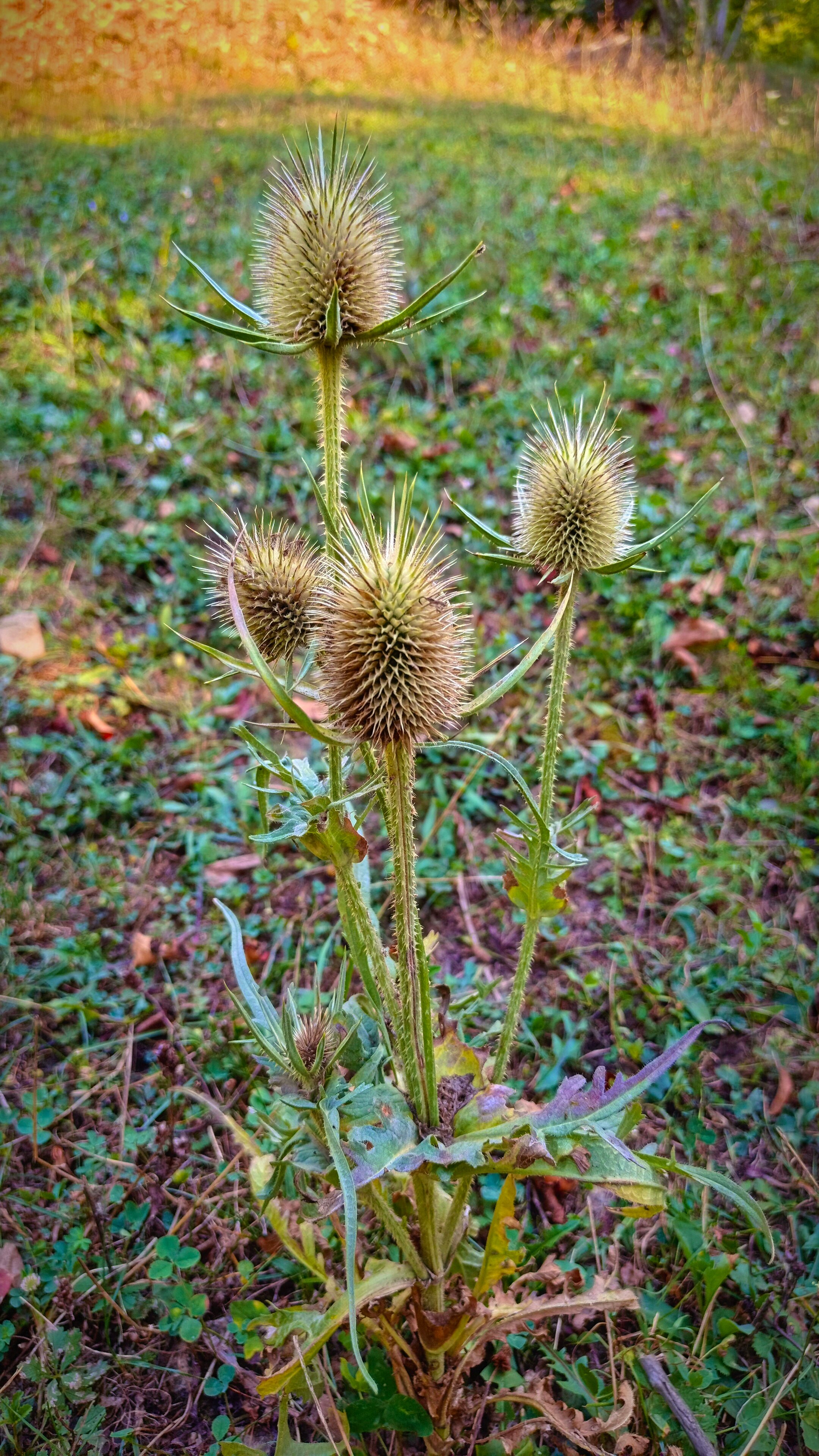 Фото Солнечный ветер