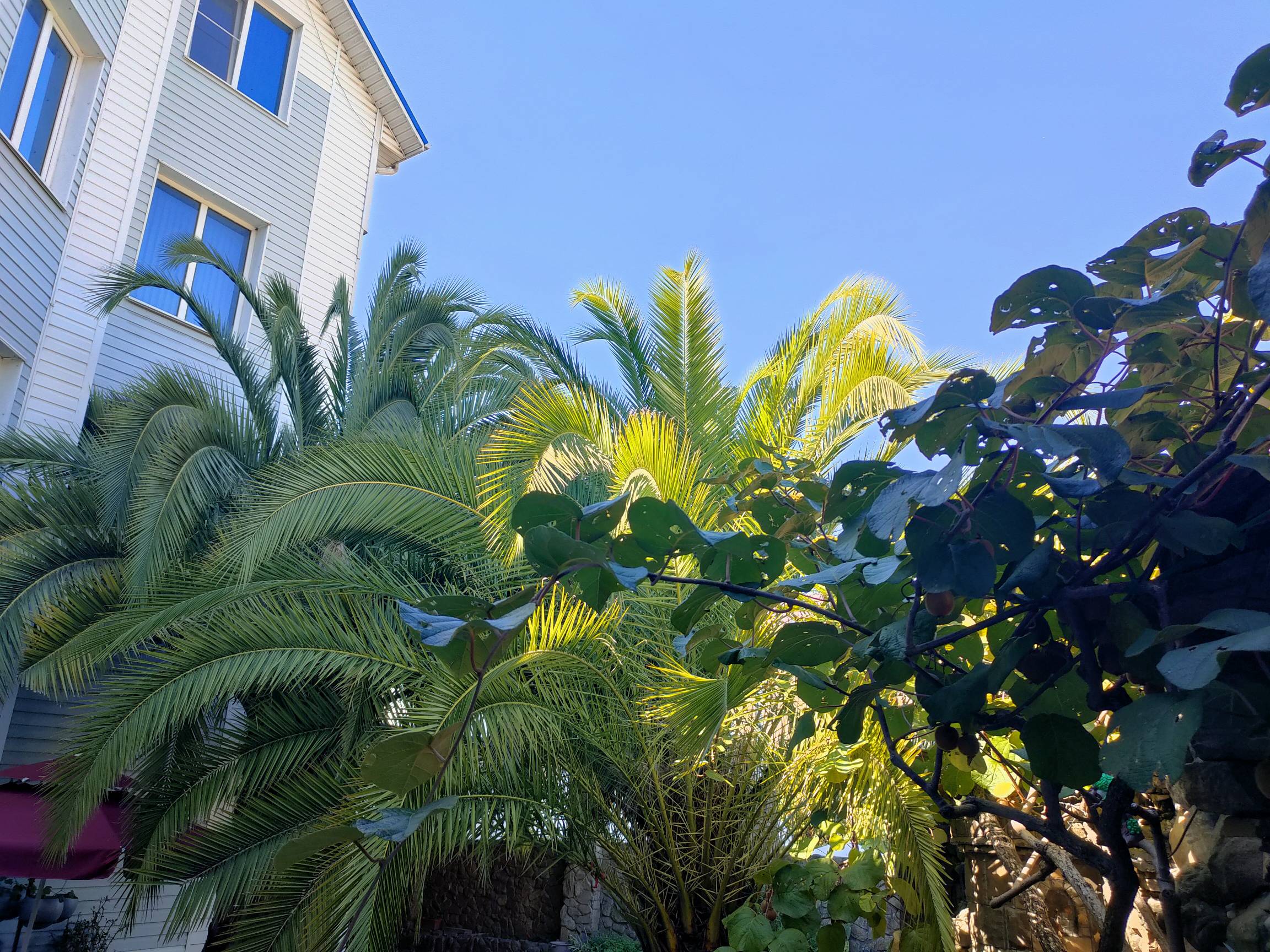 Фото Белый Орёл