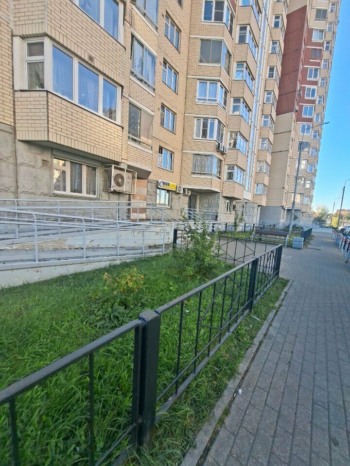 Foreign language courses Kolba, Korolev, photo