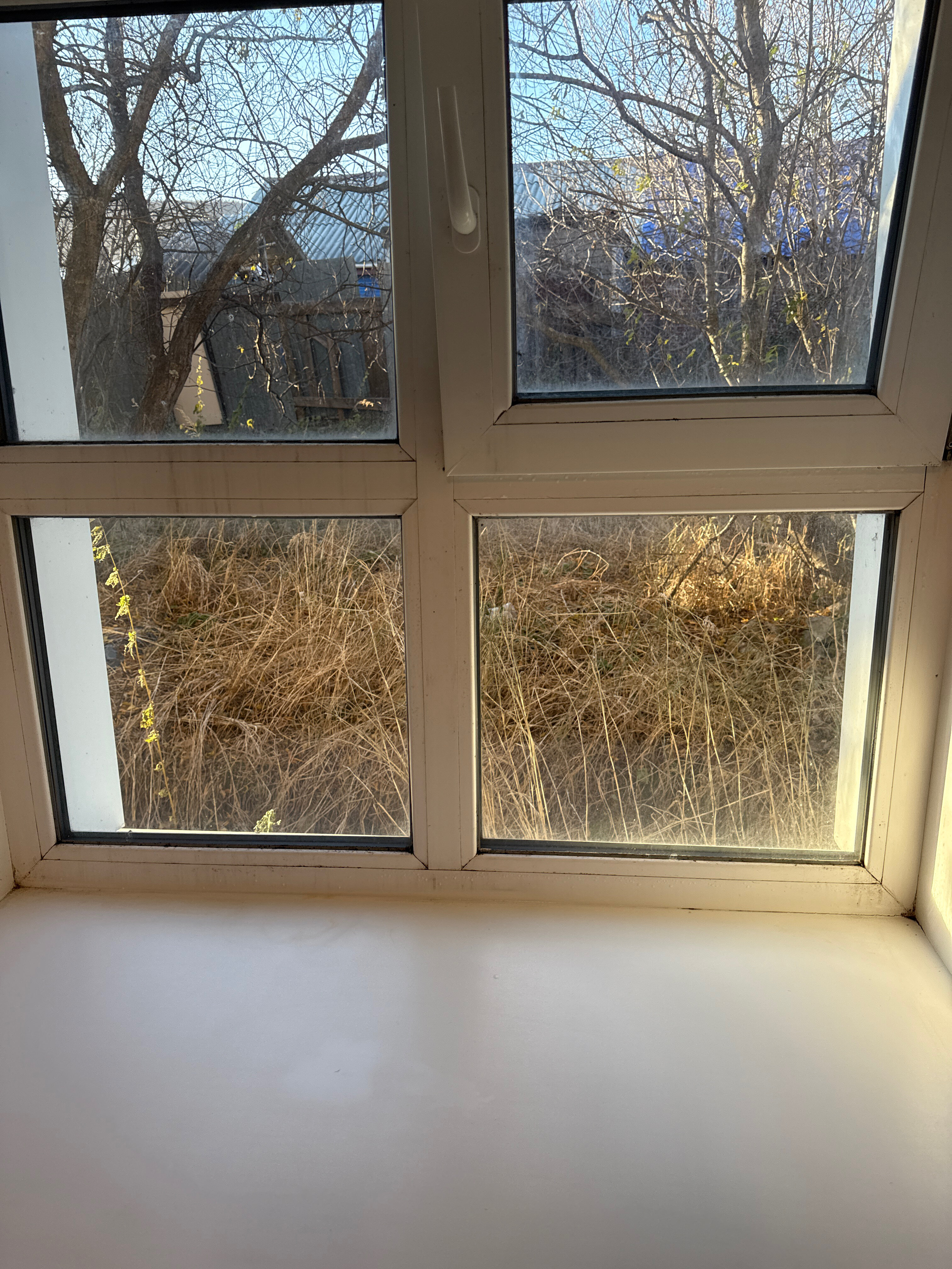 Фото  Советский