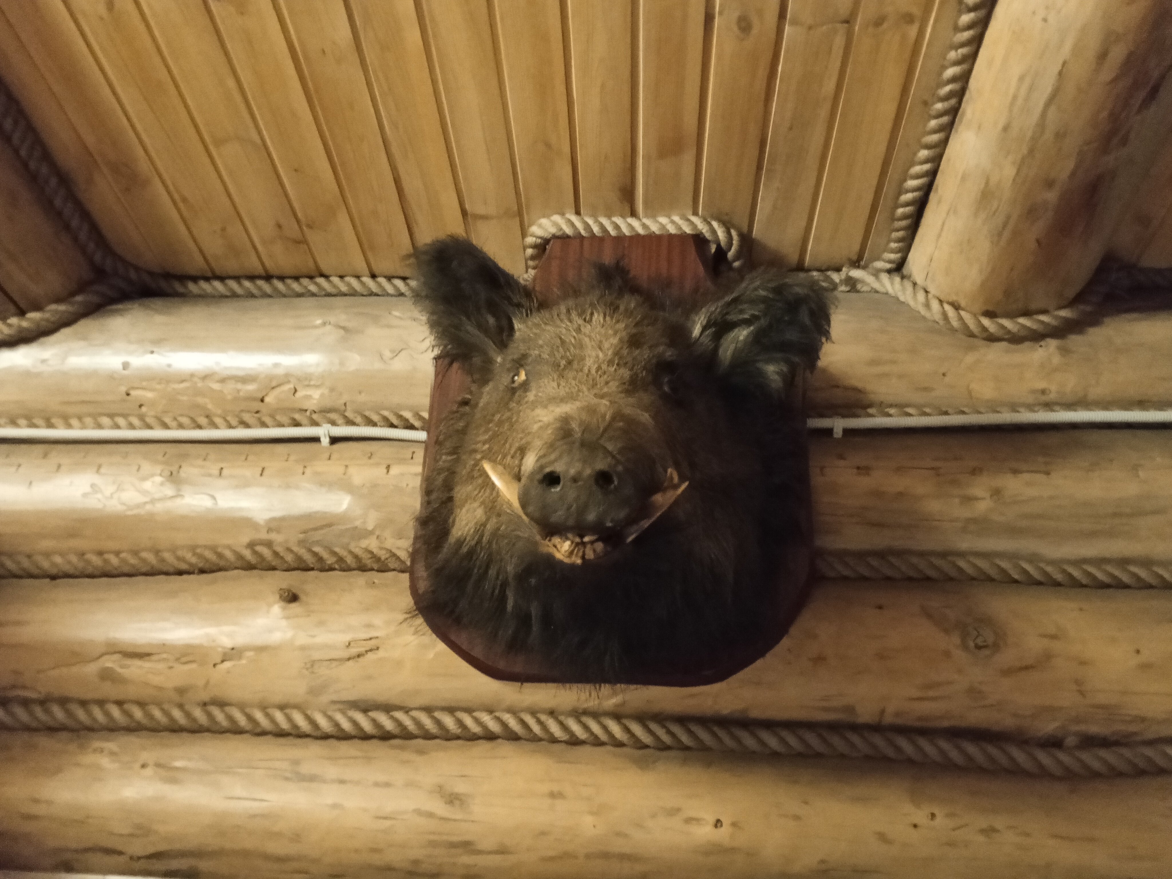 Фото Таёжный отель