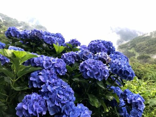 Гостиница Nouka Minsyuku Nakajima - Vacation Stay 99829 в Префектуре Токусима