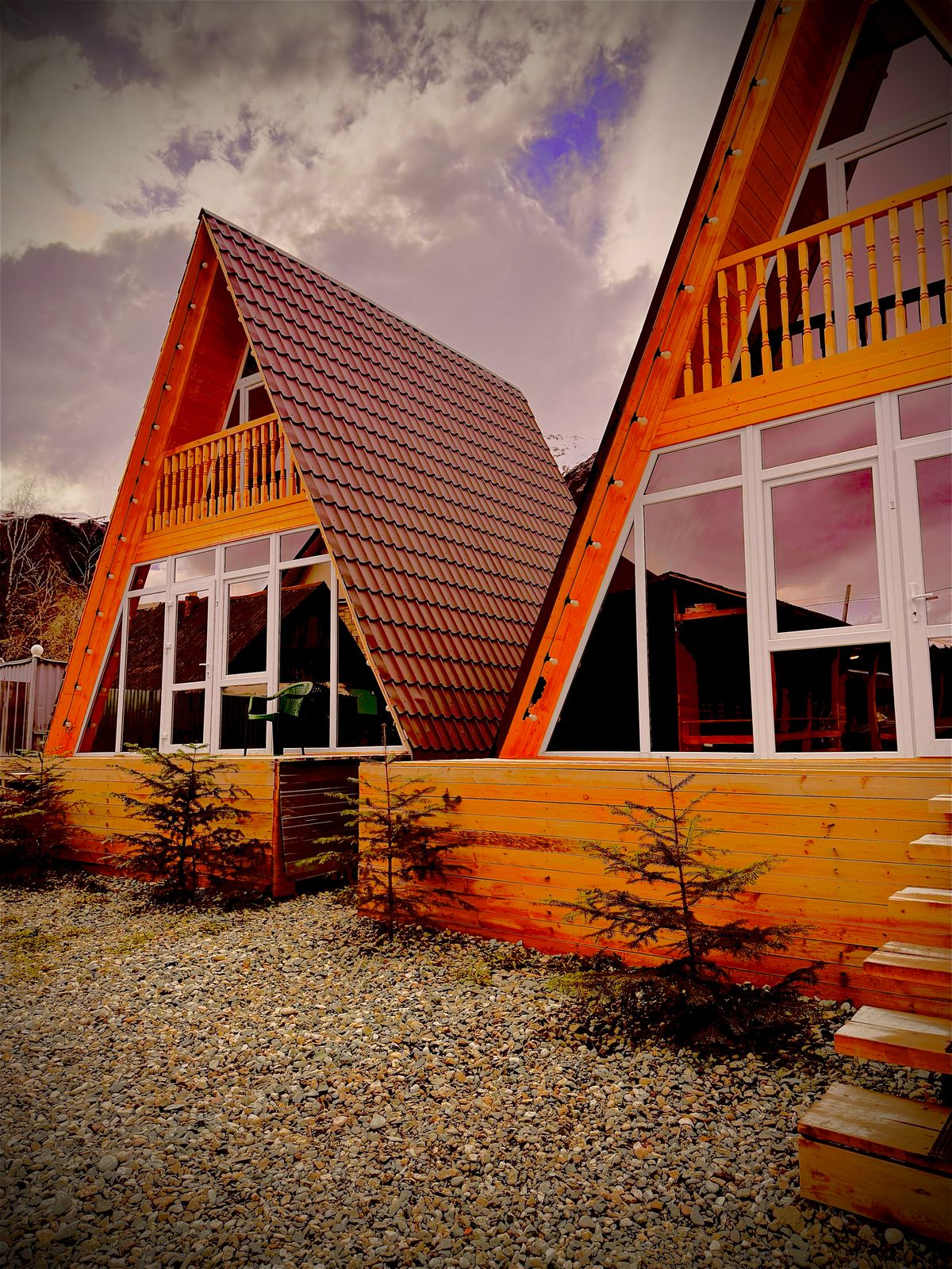 Фото Метелица