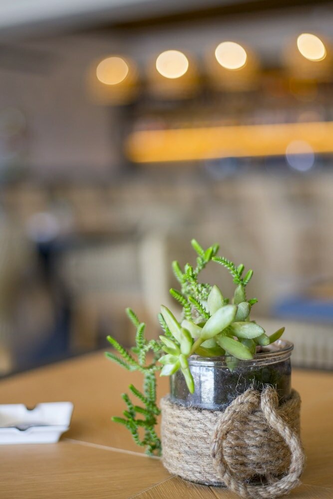 Фото Jenny's Summer Houses