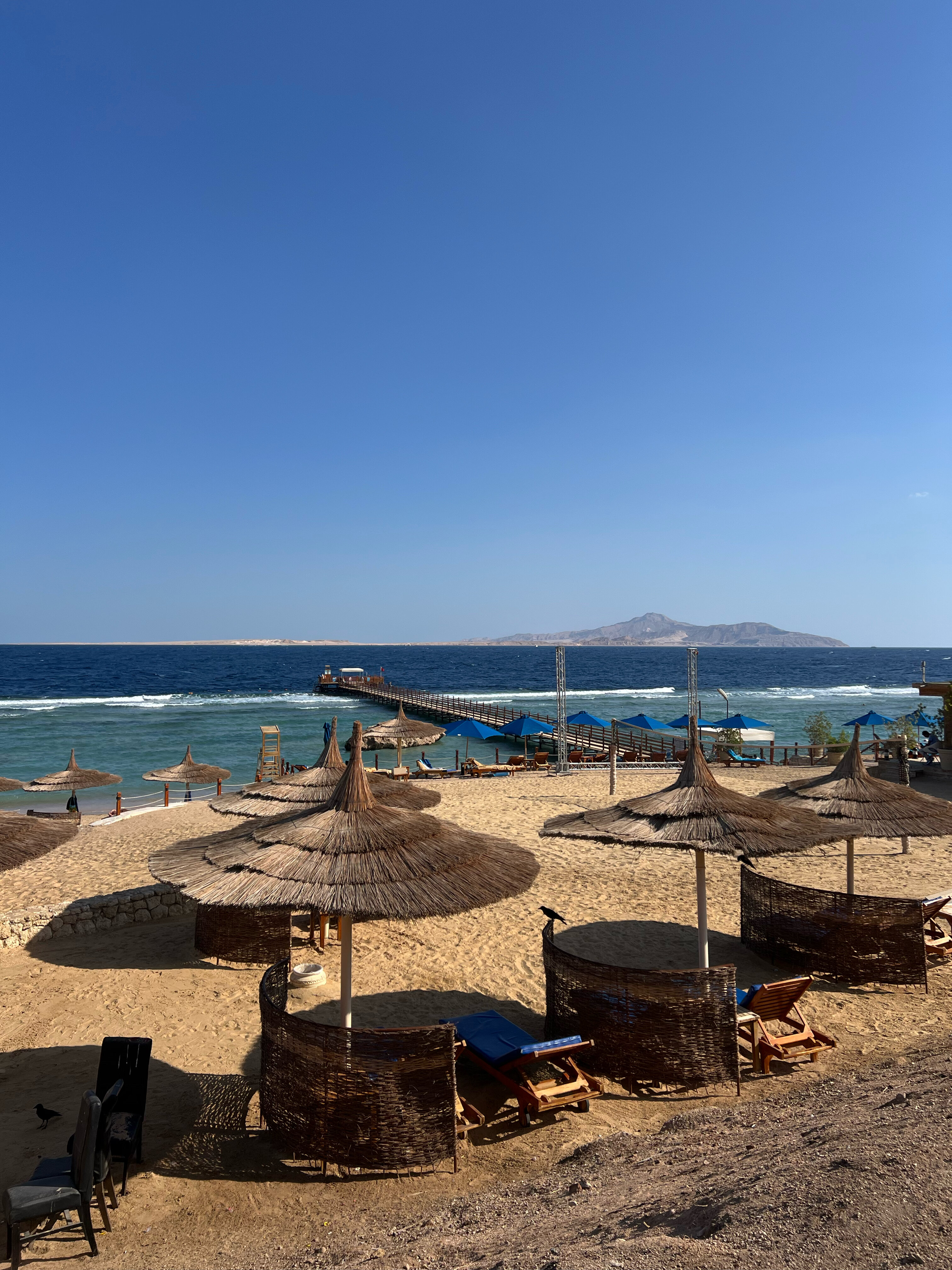 Фото Cleopatra Luxury Resort Sharm- Adults Only