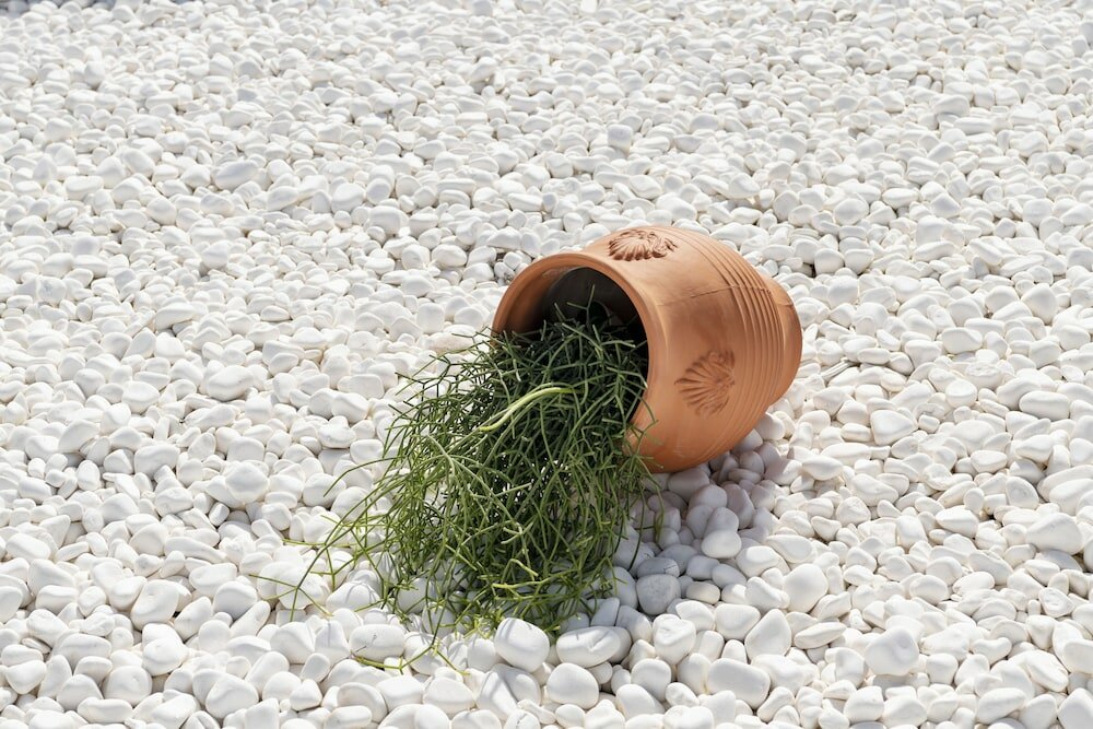 Фото Lithos by Spyros & Flora