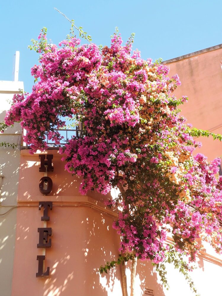 Фото Albergo Italia