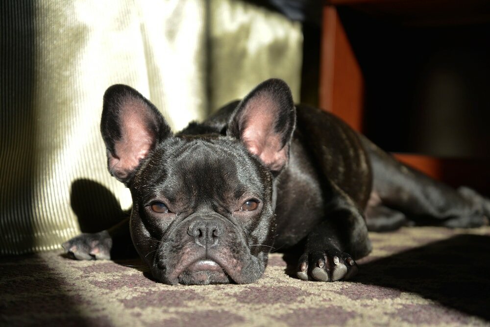 Фото Hilltop Inn by Riversage