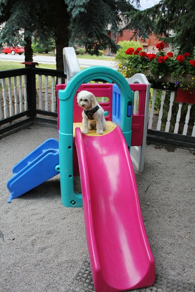 Фото The Georgetown Inn