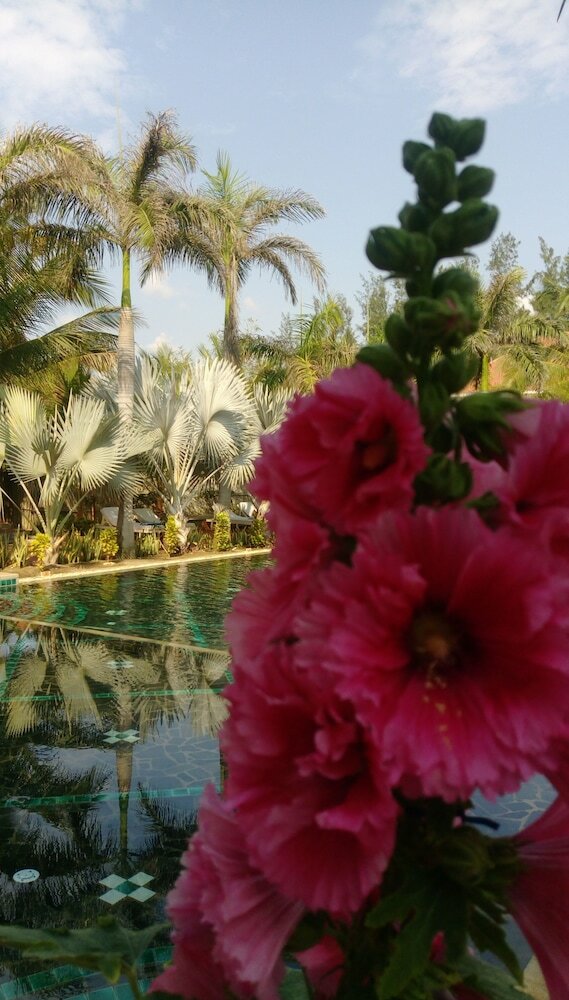 Фото Full Moon Village