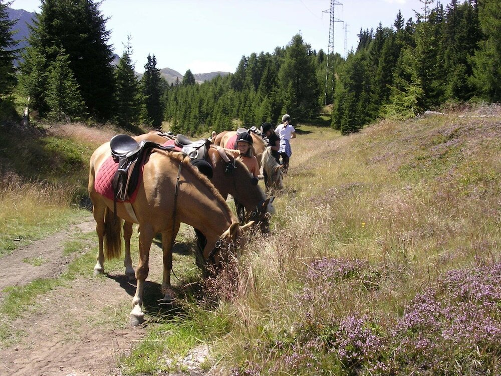 Фото Sporthotel Kalcherhof