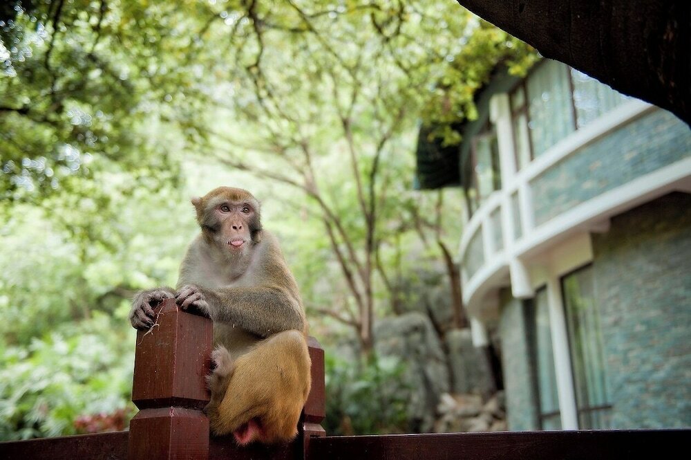 Фото Guilin Crystal Crescent Moon Hotel