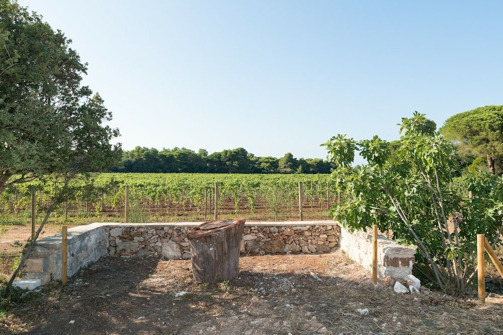 Фото Masseria Mongiò dell'Elefante