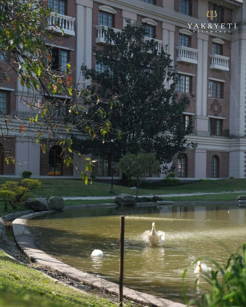 Фото Hotel Yak & Yeti