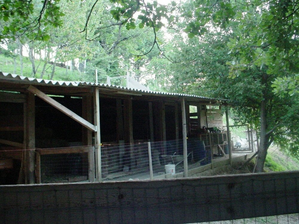 Фото Podere Caldaruccio La Pineta