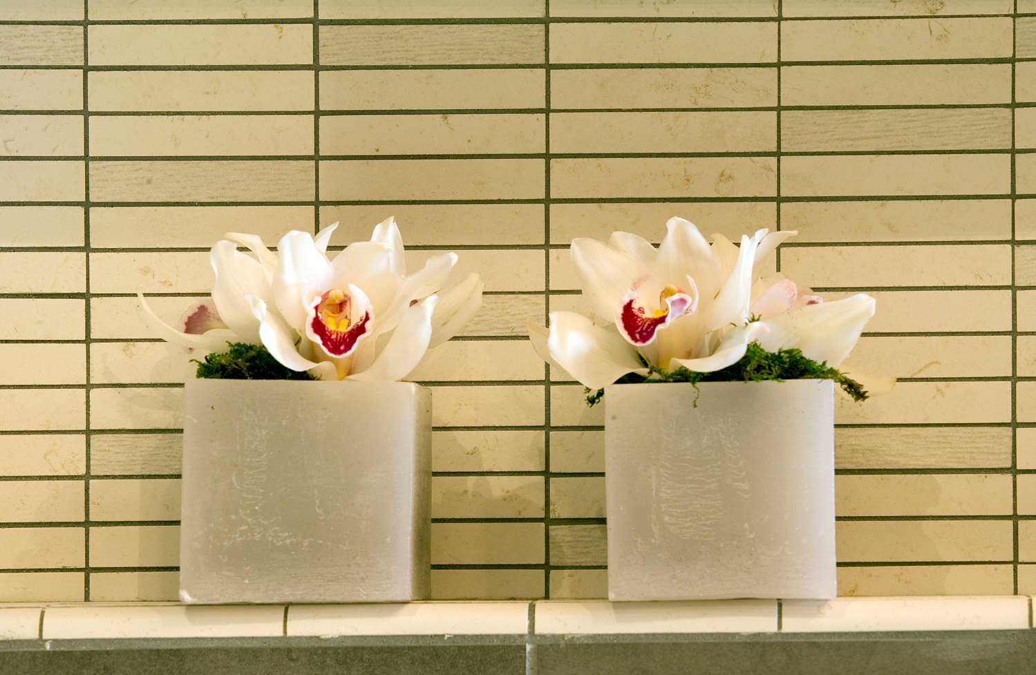 Фото Best Western Plus Hotel Galileo Padova