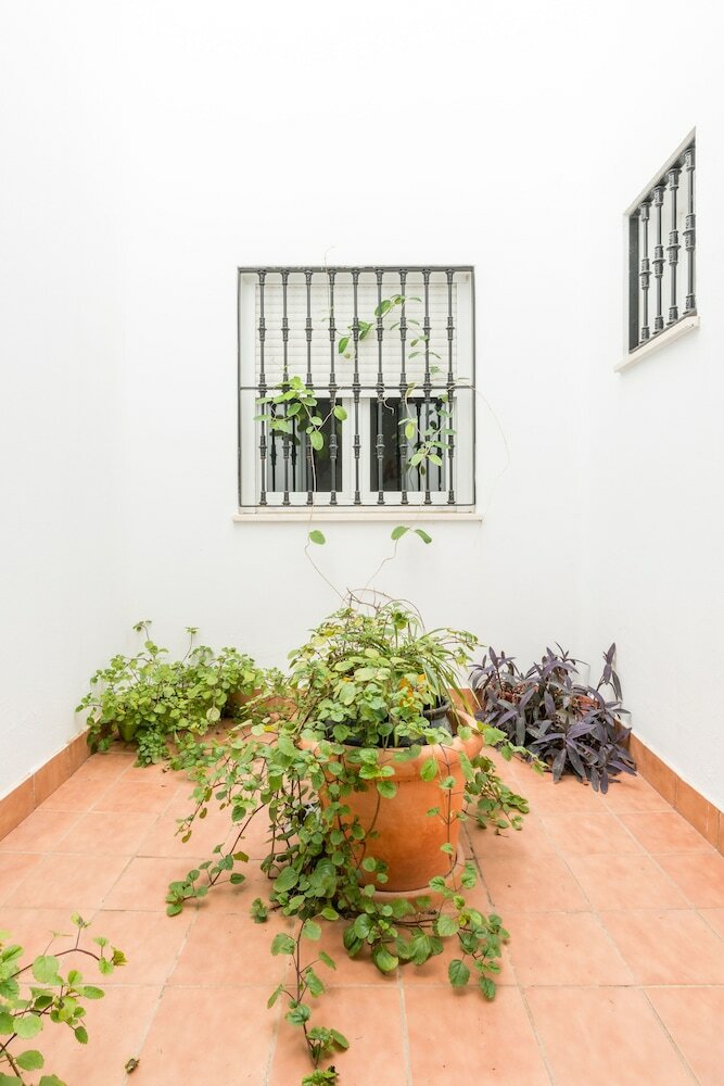 Фото Cool Sevilla Hotel