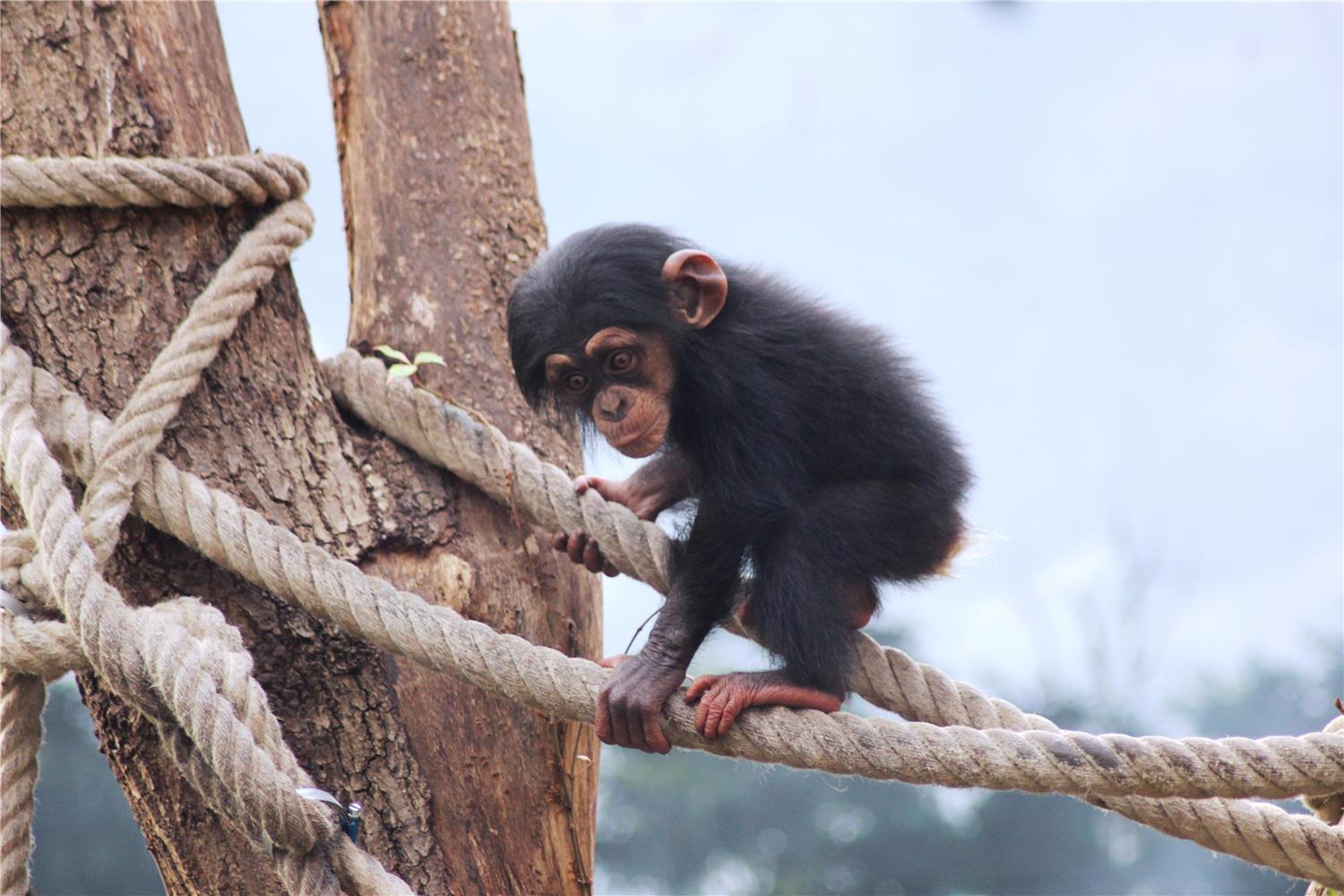 Фото Best Western Hotel Hohenzollern