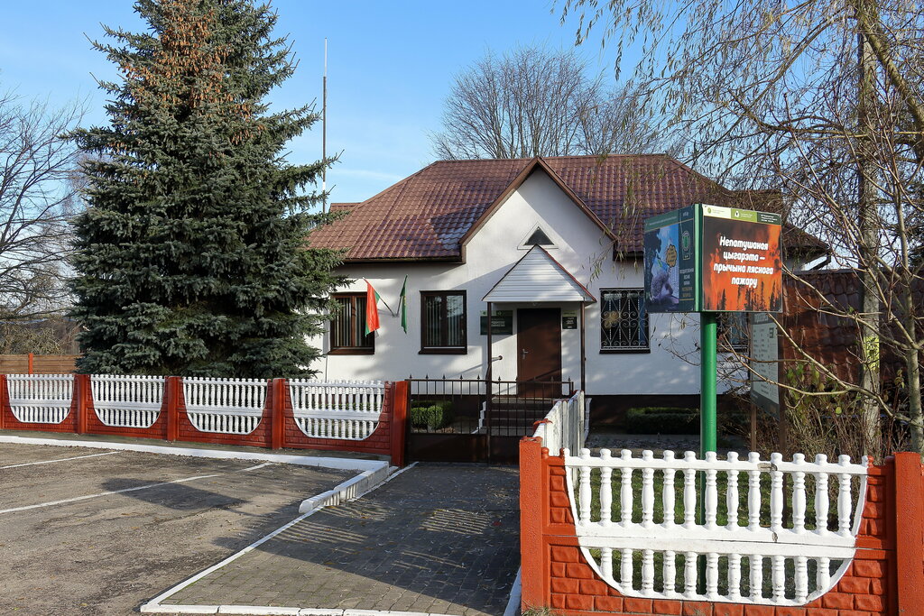 Forestry Gorodokskoye Lesnichestvo GLKhU Molodechnensky leskhoz, Minsk District, photo
