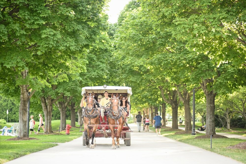 Фото Mission Point Resort