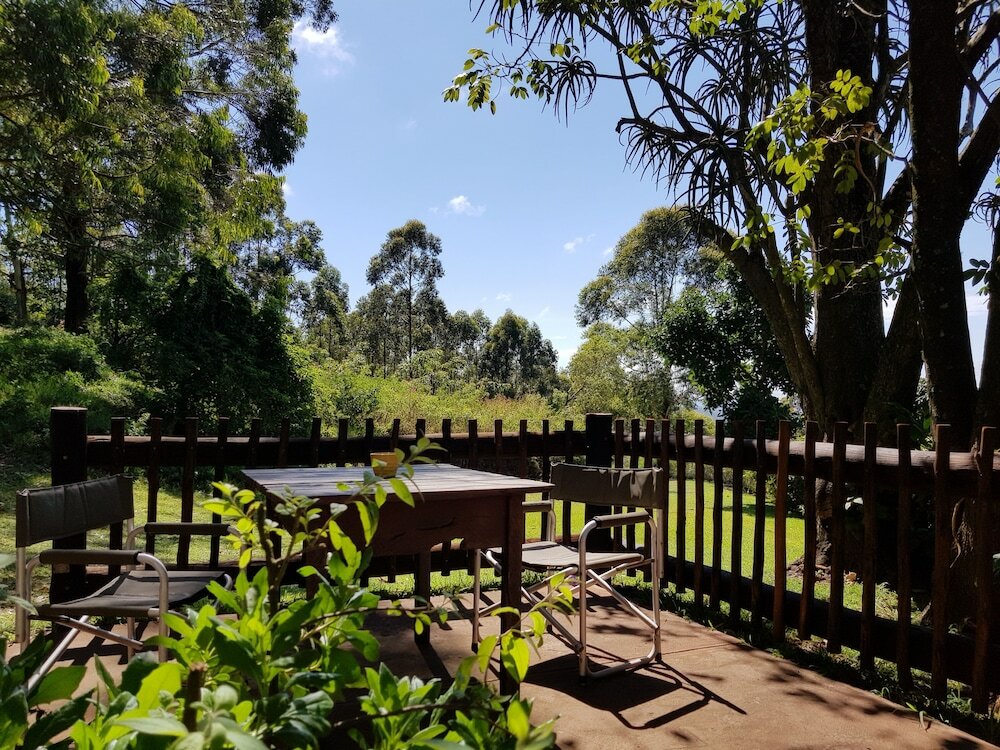 Фото Misty Mountains