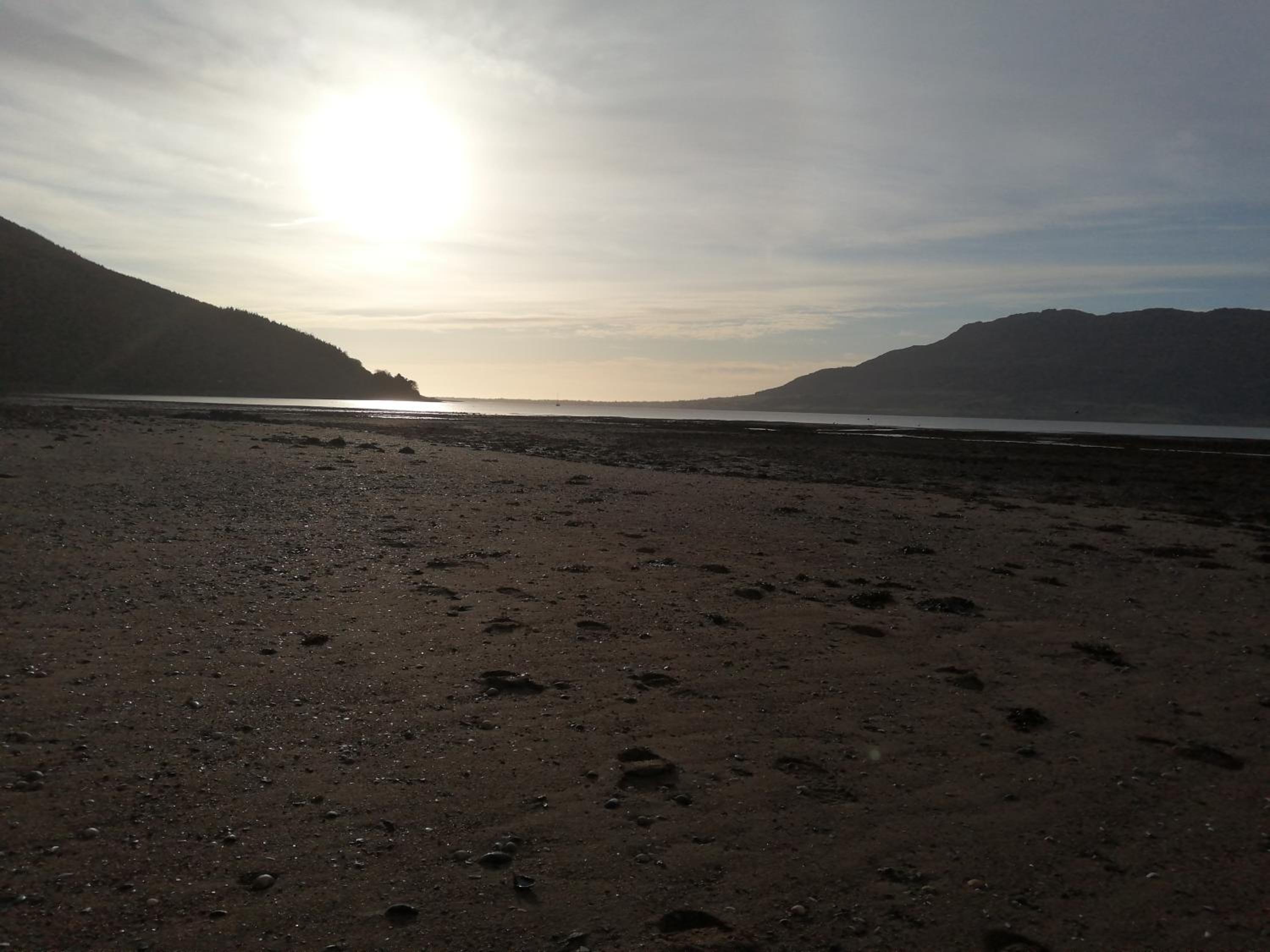 Фото The Oystercatcher