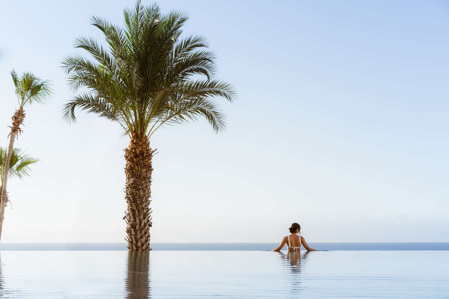 Фото Hilton Los Cabos Beach & Golf Resort