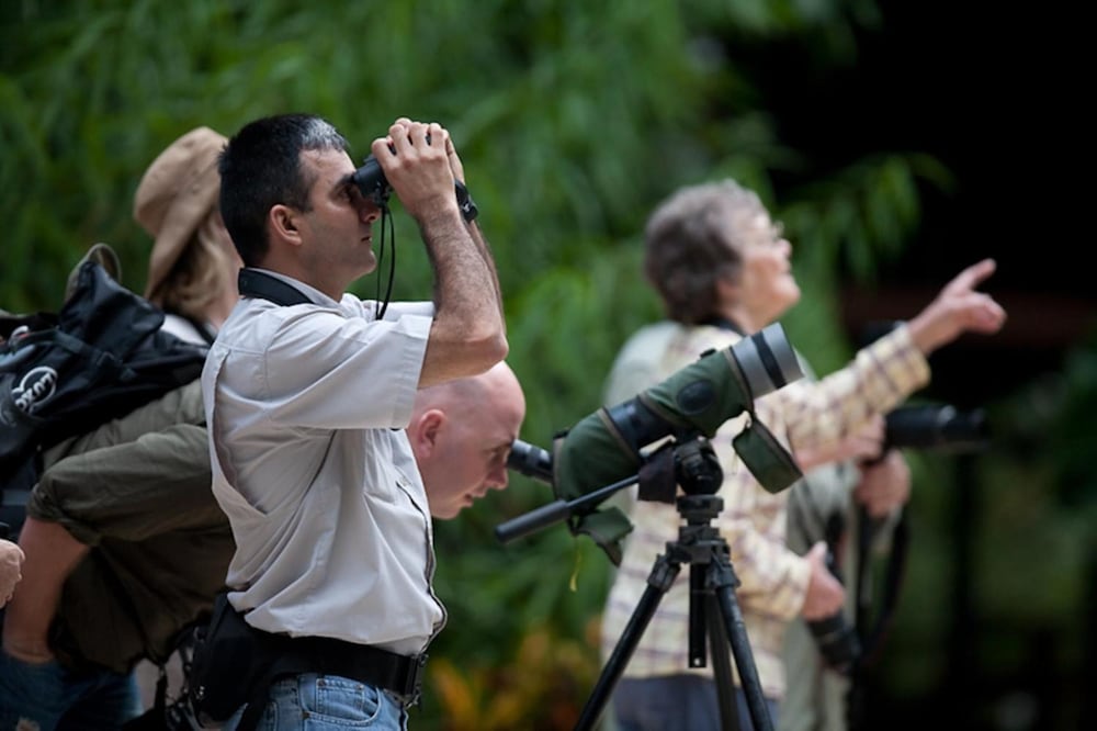 Фото Selva Verde Lodge