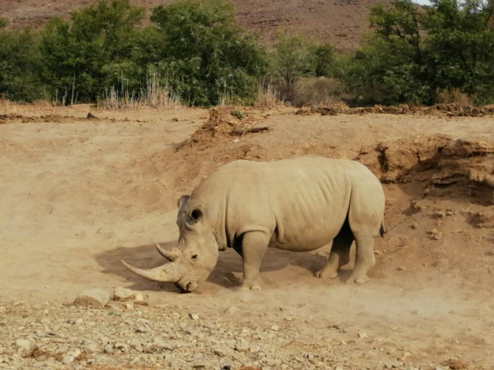 Фото Sanbona Wildlife Reserve