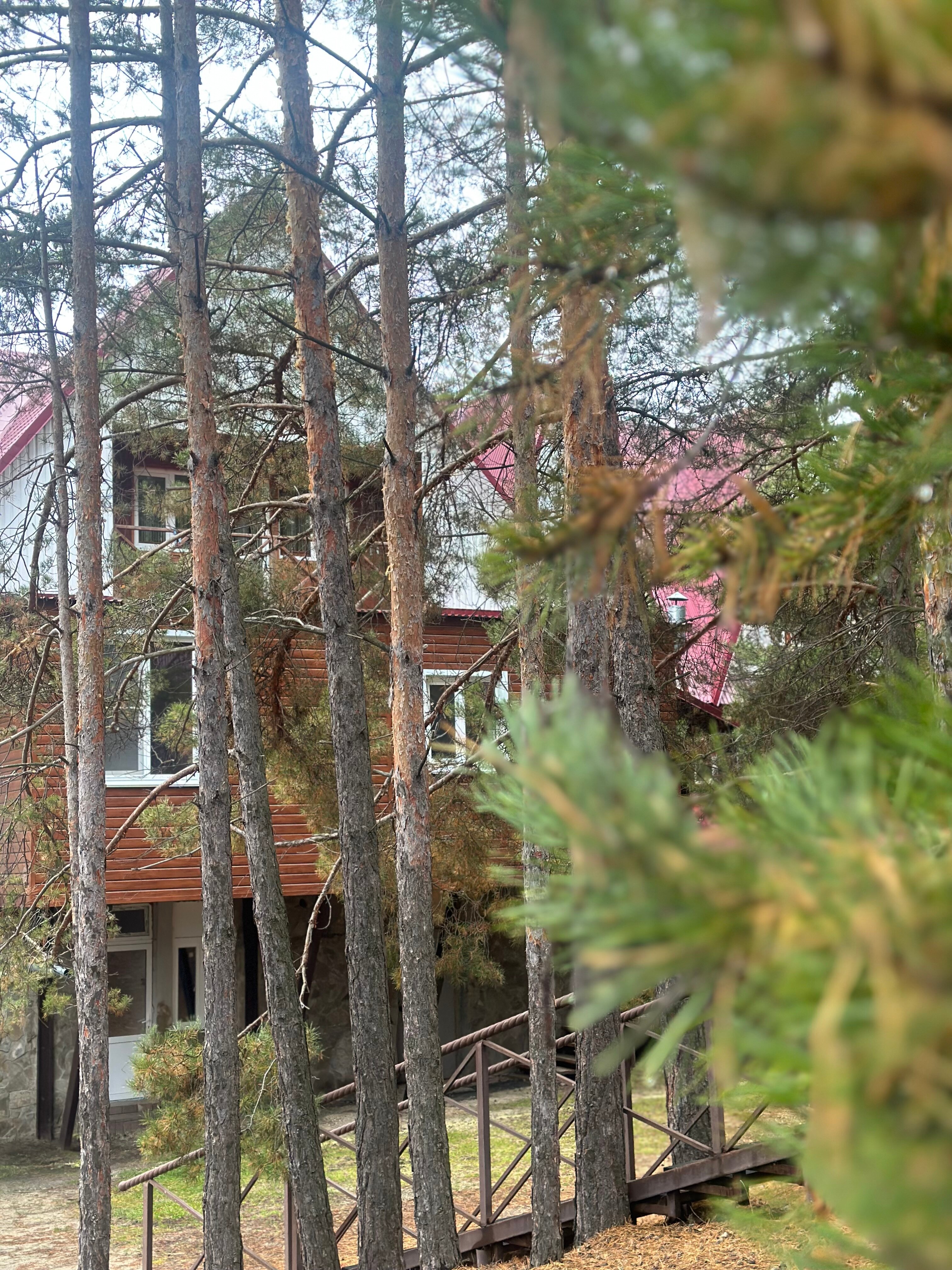 Фото Старый дворик