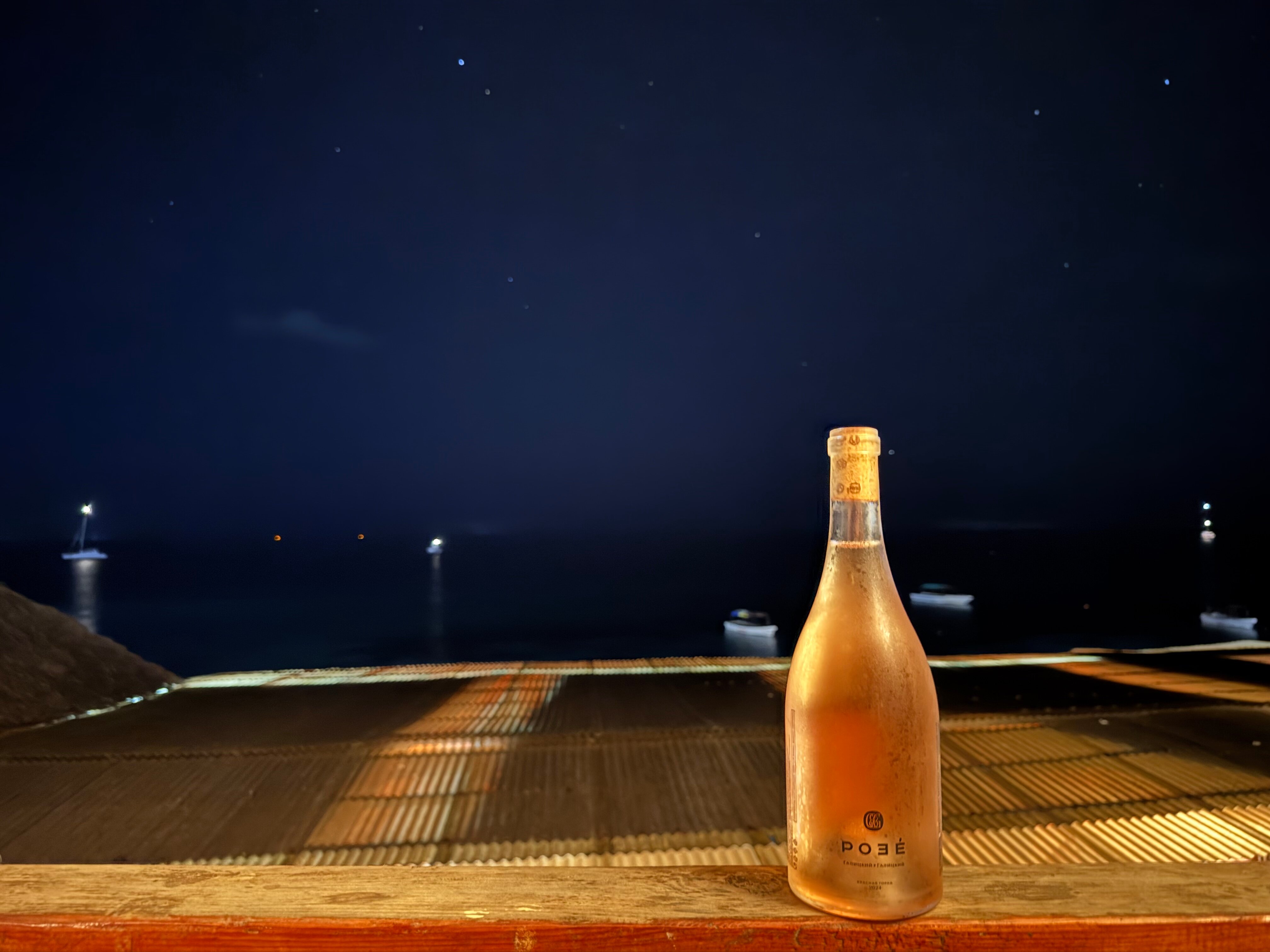 Фото Zenobia Beach Resort