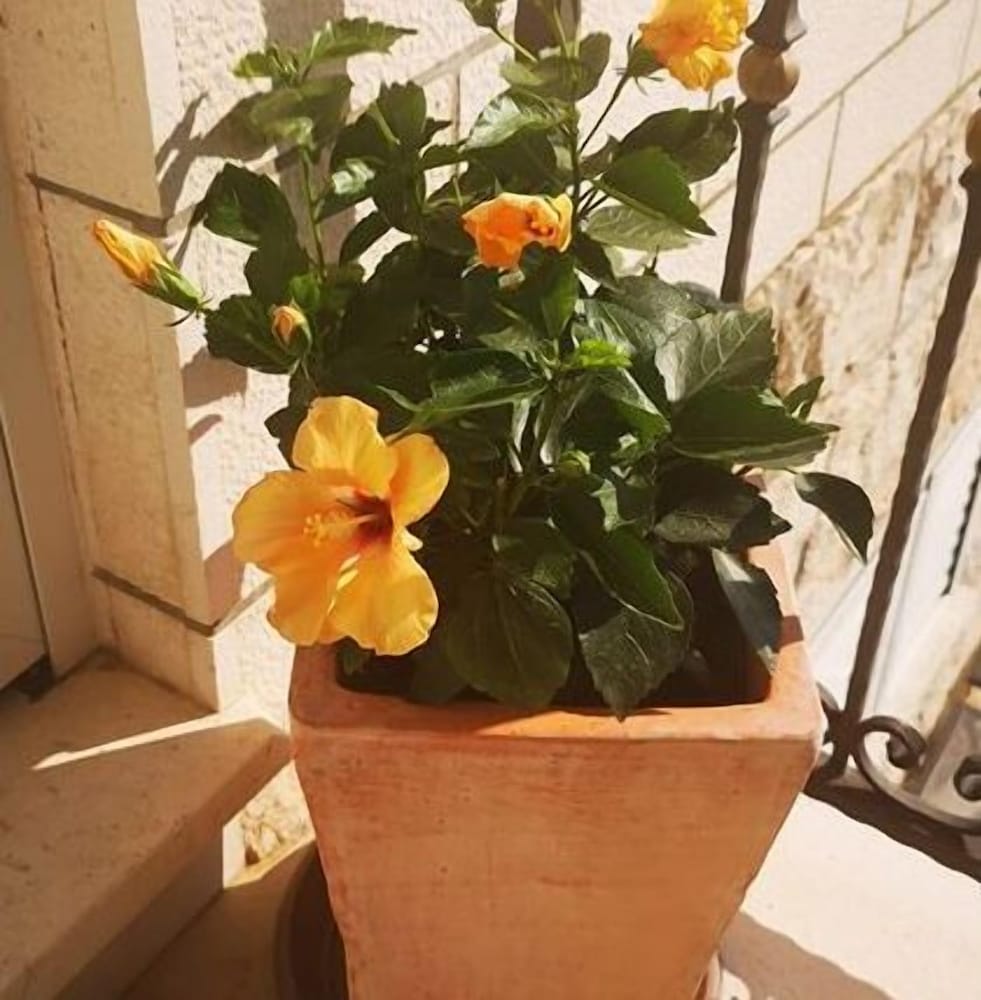 Фото Villa Kate Dadic