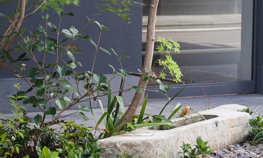 Фото Hotel Rings Kyoto