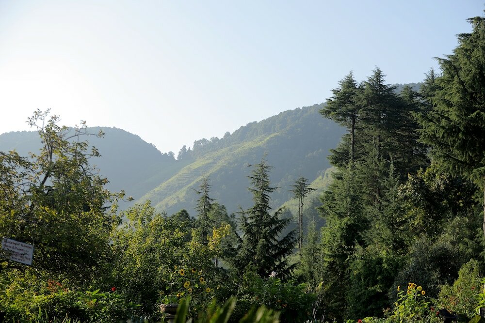 Фото Cedar Lodge by Aahma