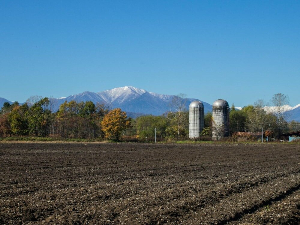 Фото The squirrel's guesthouse Canterbury