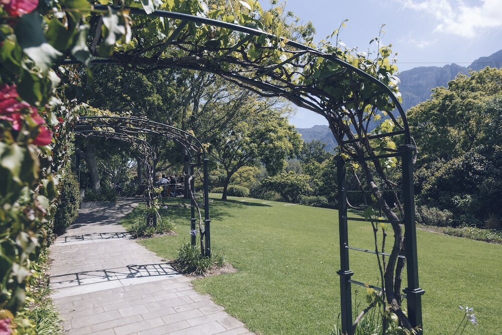 Фото Vineyard Hotel